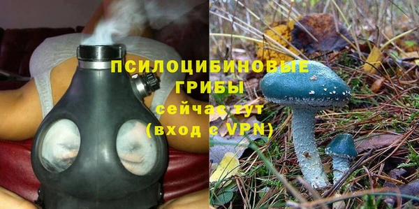 тгк Богданович
