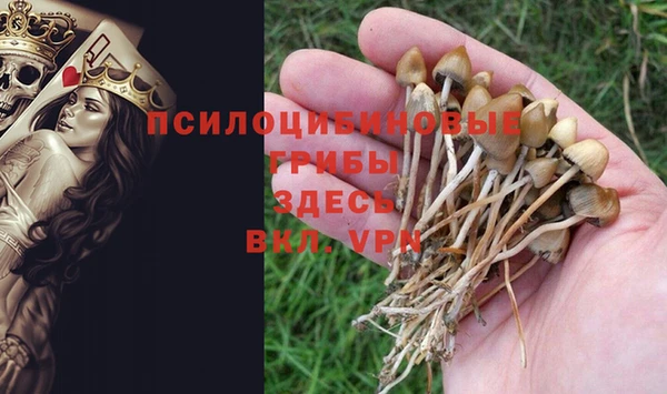 метадон Богородск